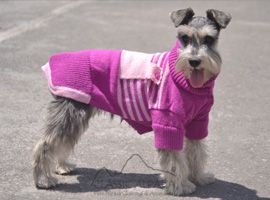 Alpaca Dog Overall Alpaca Dog Overall
