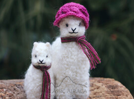 Needle Felted My Mother Baby Alpaca
