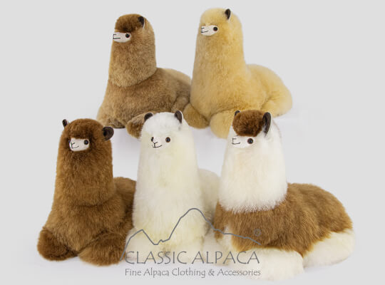 Baby Alpaca Fur-Cushing Alpaca 10 Inches