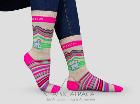 Bubblegum Alpaca Alpaca Socks