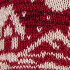 Meadow Snow Alpaca Hat / Red-Burgundy-Natural