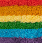 Needle Felted Baby Alpaca / Multicolor