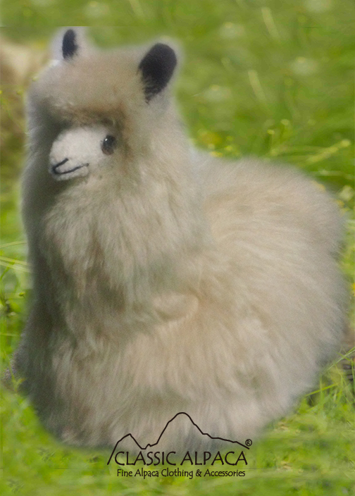BABY Alpaca Fur - Peruvian Cushing Ornament 9"
